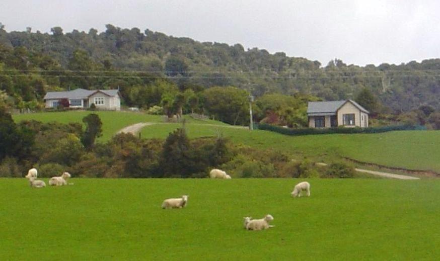 Hilltop Accommodation Catlins Papatowai Esterno foto