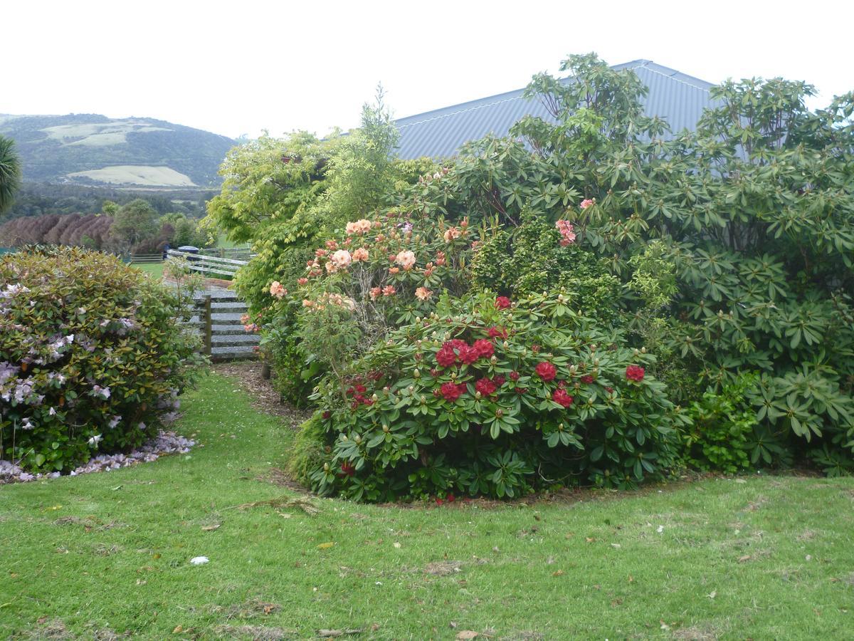 Hilltop Accommodation Catlins Papatowai Esterno foto