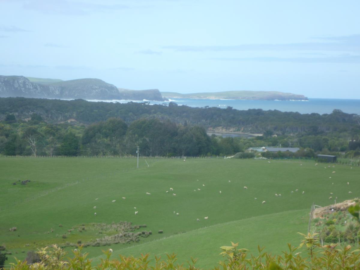 Hilltop Accommodation Catlins Papatowai Esterno foto