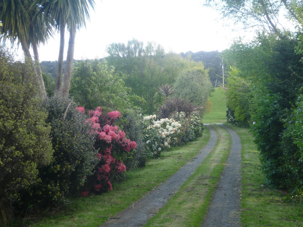 Hilltop Accommodation Catlins Papatowai Esterno foto